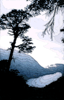 Arbol