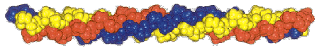 Cadena