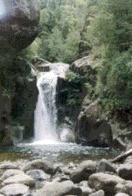 Cascada