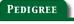 See Our Horses Pedigrees!