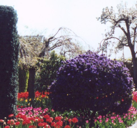 in the garden � CKTSW