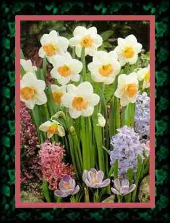 Daffodils by Wizzle