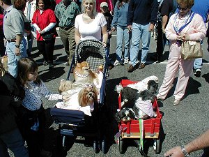Jen with baby stroller & wagon