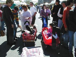 Comparing Wagons