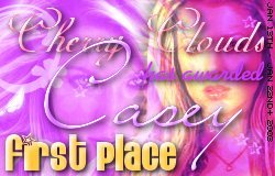 Ch #04 - Casey