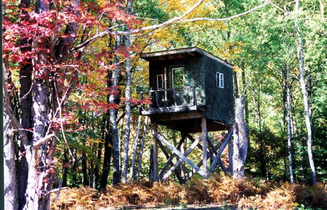 tree_stand