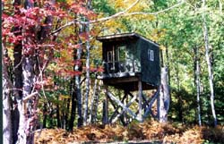 tree_stand