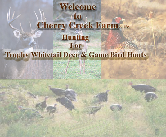 trophy whitetail deerhunting in michigan