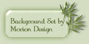 Morion Design