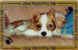 Jamie on couch.jpg (8342 bytes)
