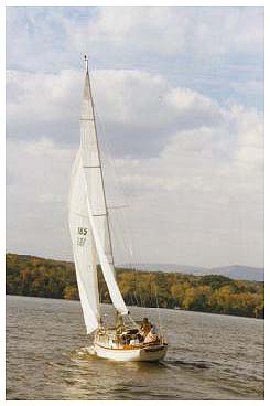 Click on image to enlarge