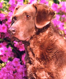 Kelly at 13 yrs of age