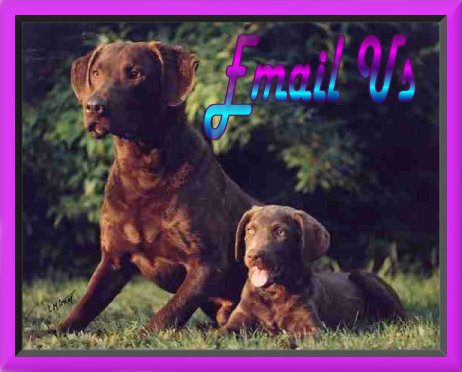 Click here to Email us