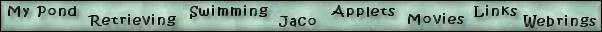 Navigation Bar