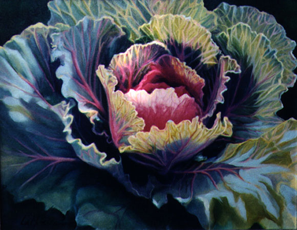 cabbage