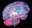 brain.gif (1541 bytes)