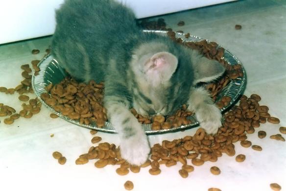 ZZZZZZZZ........