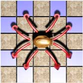 ����Թ���