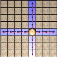 ����Թ����