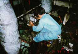 Maintenance of Air Cooler