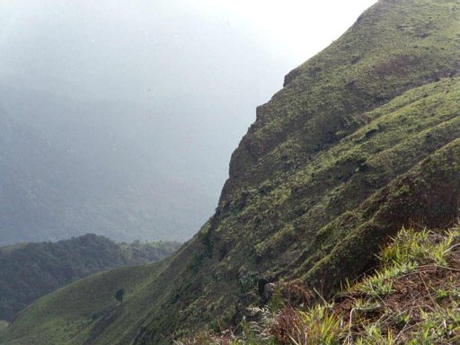 route to kodachadri