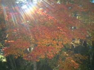 �H�������فFMaple