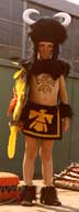 Picture of Buffalo Dancer Costume