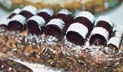 Picture of Chocolate Cake