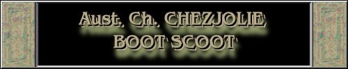 CLICK HERE
FOR DETAILS OF
CH. CHEZJOLIE BOOT SCOOT
~*~SCOOT~*~