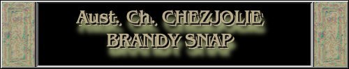 CLICK HERE
FOR DETAILS OF
CH. CHEZJOLIE BRANDY SNAP
~*~SNAPS~*~
