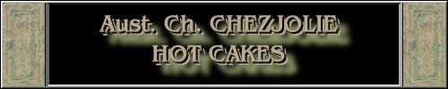CLICK HERE
FOR DETAILS OF
CH. CHEZJOLIE HOT CAKES
~*~MUFFIN~*~
