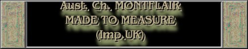 CLICK HERE
FOR DETAILS OF
CH. MONTFLAIR MADE TO MEASURE
~*~HOOPER~*~