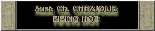CLICK HERE
FOR DETAILS OF
CH. CHEZJOLIE PIPING HOT
~*~SKEG~*~