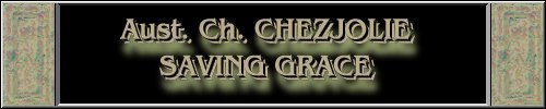 CLICK HERE
FOR DETAILS OF
CH. CHEZJOLIE SAVING GRACE
~*~GRACE~*~
