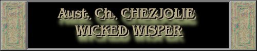 CLICK HERE
FOR DETAILS OF
CH. CHEZJOLIE WICKED WISPER
~*~SHELLY~*~