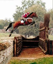 Gallant Wonder