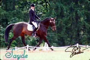 Sayde