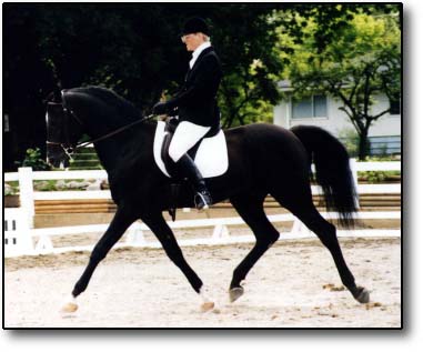 Black Moon Dancer