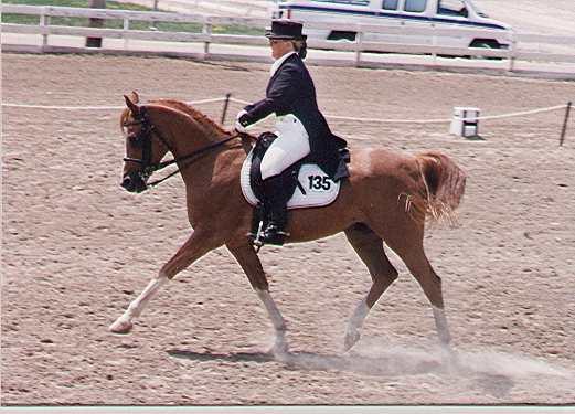 FyreWater CH