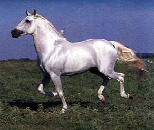 Mirage