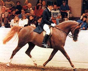 WA Phoenix