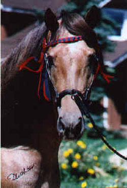 Valiente