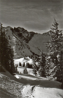 shelter