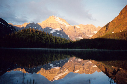 swiftcurrent