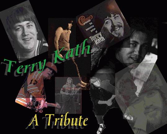 Terry Kath - Feelin' Stronger Every Day
