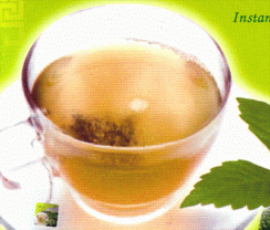 Premium Quality Of Jiaogulan 100 %- JIAOGULAN FROM CHIANGMAI NORTHERN THAILAND