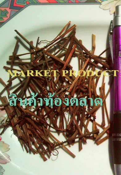 Premium Quality Of Jiaogulan 100 %- JIAOGULAN FROM CHIANGMAI NORTHERN THAILAND