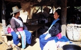 ท่องเที่ยวแบบผจญภัย-ChiangMai Tour 8 - To South Elephant Safari Tour