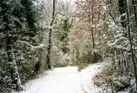 strada di campagna  innevata