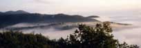 paesaggio: colline immerse nelle nuvole